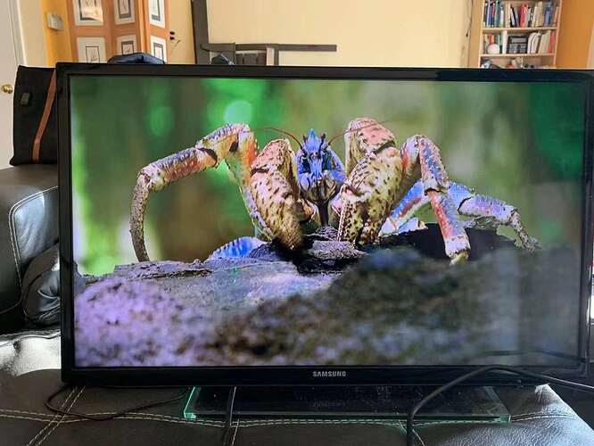 003acaf55bf66308eb8a3ff4f0944569