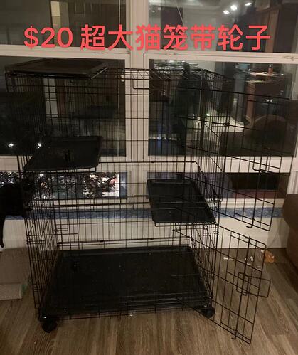 48f1cad4945ed41347e74ff469d1158a_