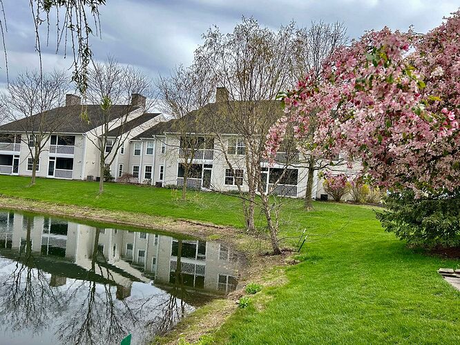 9b918022144e6096c1fd94c524ef781