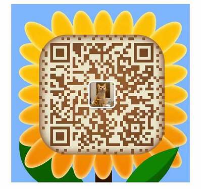 a74d725905a7ab2f26aee163b91d6e84