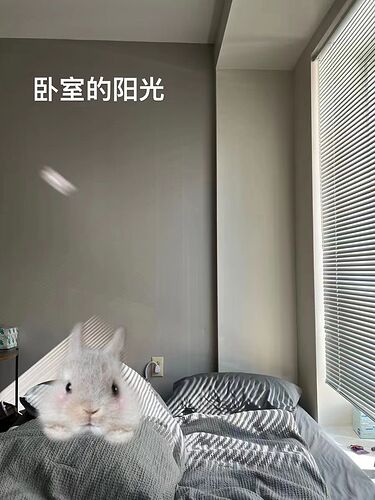 3214465fac32aa796f8184d12ba2180