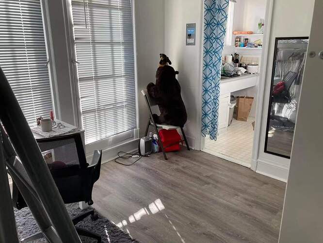 92487a6e362737da7ab297b7dfbb4d86