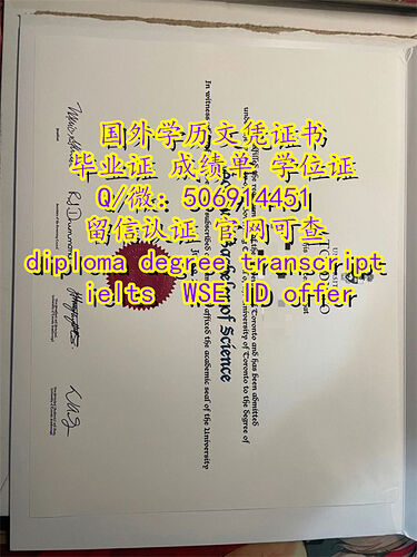 diploma  (36)