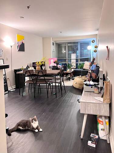 2f43b6824fca8f1afe7c9bf97d9a4b91