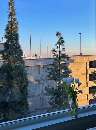 9dea0989ba979c1098889139984334f7_