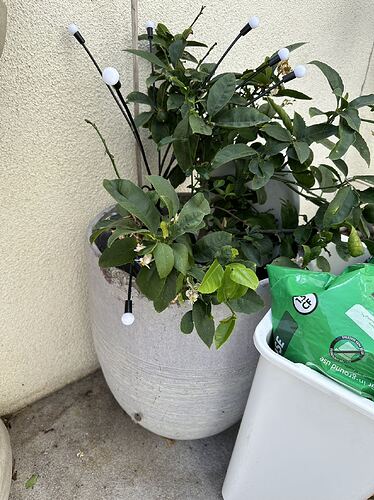 d96152888ece7044959a231e937c102