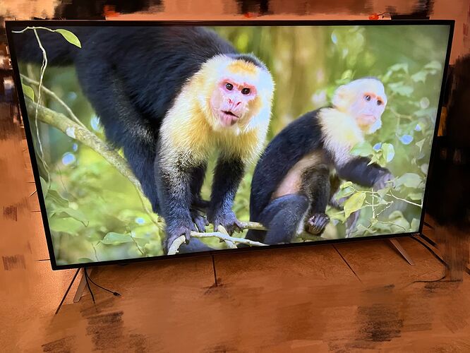 c15f4a95d7fca75f9903d2489fc1ef7