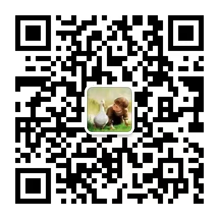 fd8818402793f0cff95a29597554893